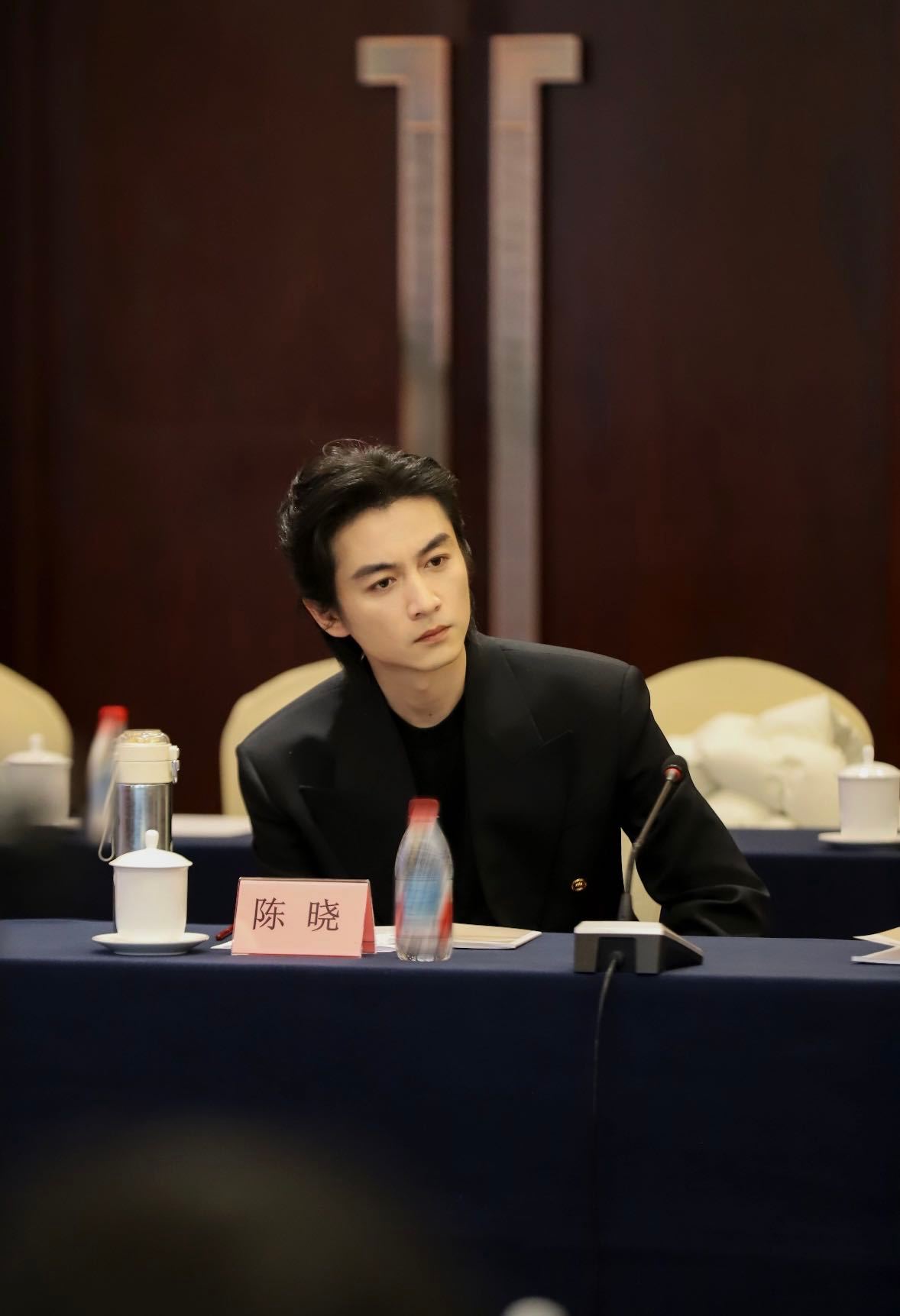 其实，陈晓 确实达到了演员的顶级标准不仅是演什么像什么，更是不动声色地从一个个形