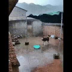 这家肯定有人当了大官！[比心][赞]