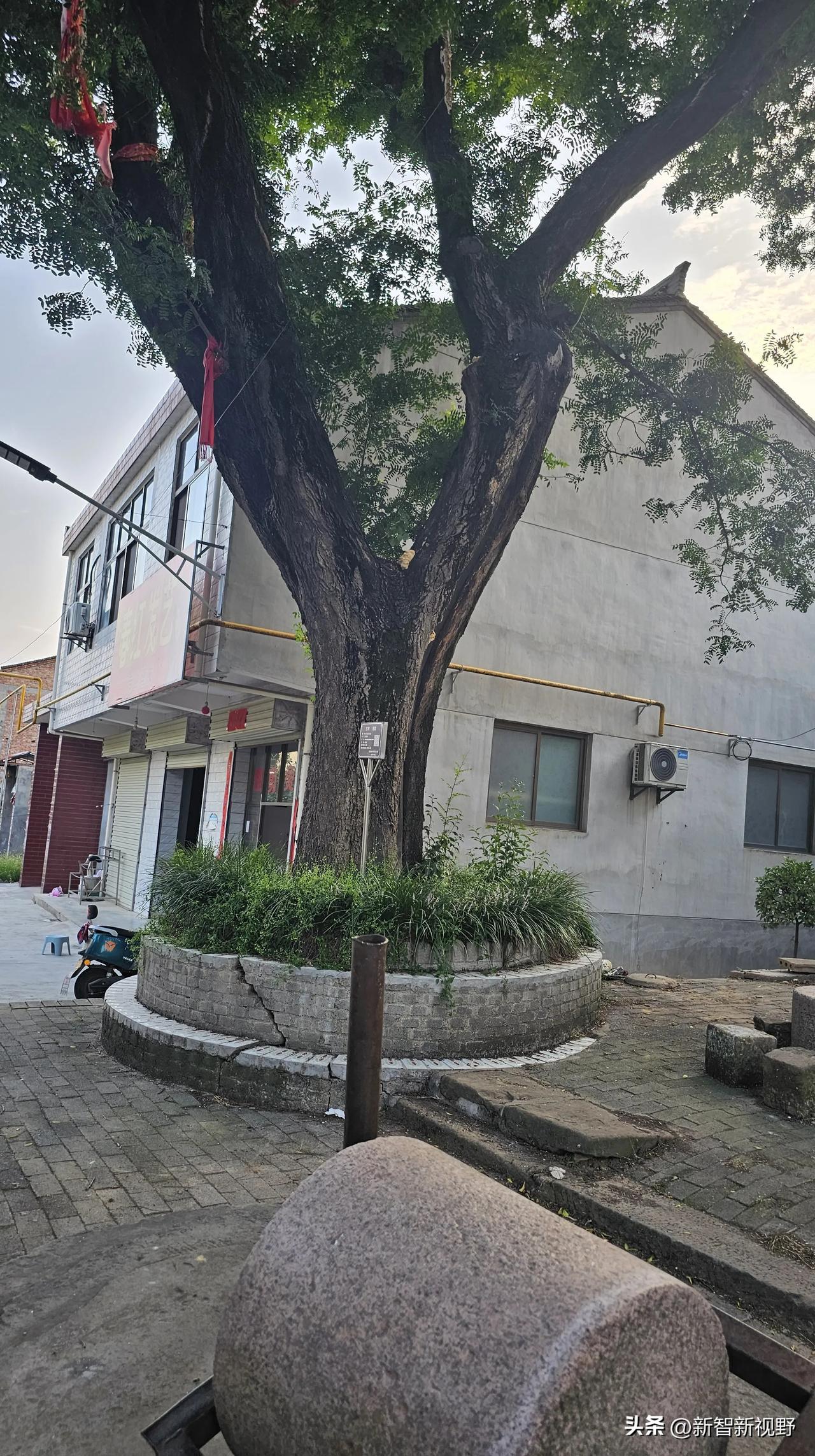 凤翔马村农村见闻凤翔风味 凤翔区旅游 凤翔城市建设 凤翔佛寺 岐山凤翔 凤翔下雨