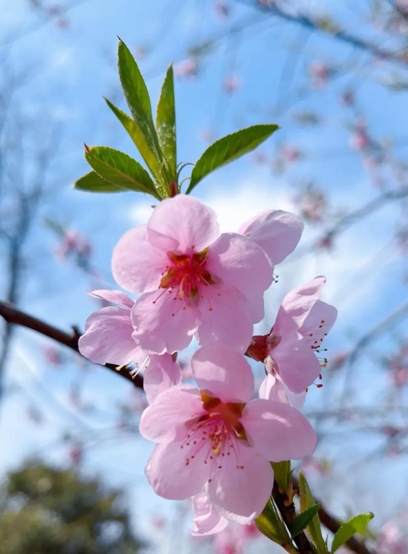 过去一年，咱都在各自的城市里摸爬滚打，有汗水，有收获，忙碌中也不乏温暖。新春佳节