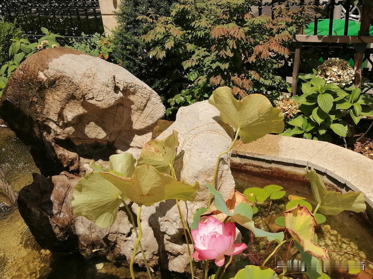 连鹭海鲜！外观不错，饭菜一般，宰你没商量！[捂脸]