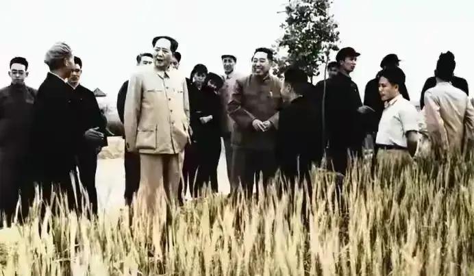 上联：春播千亩稻；诚邀下联丰收年年顺！