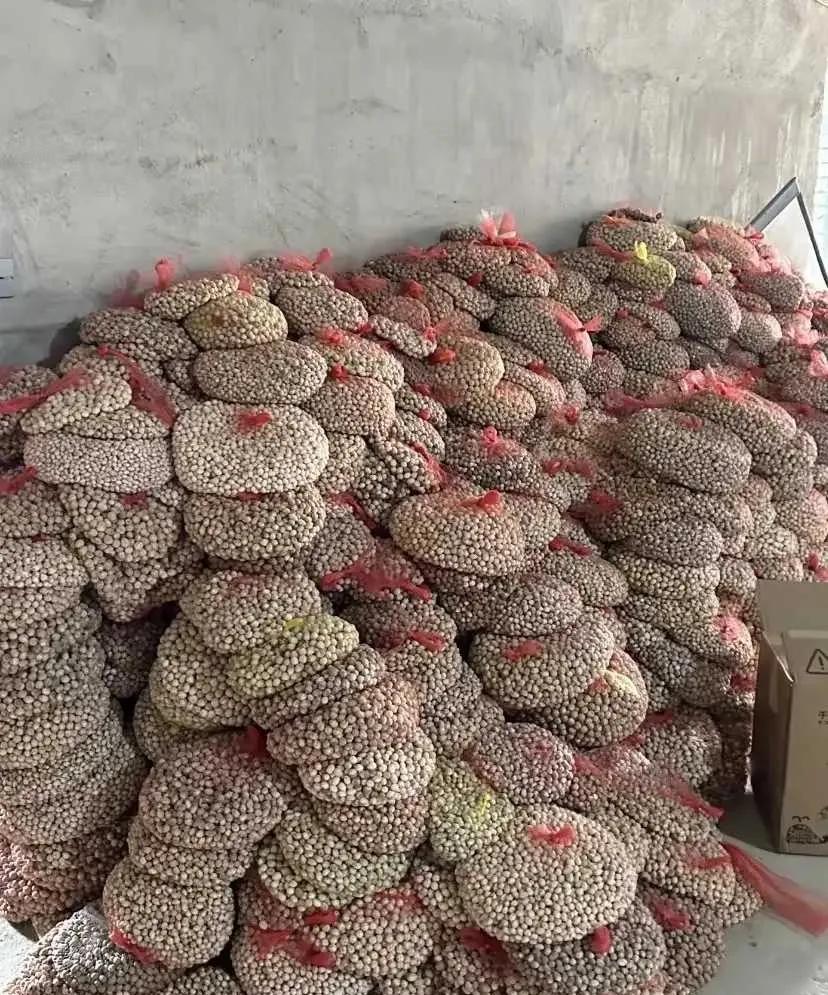 不得不说，这才是真正的大富人家！