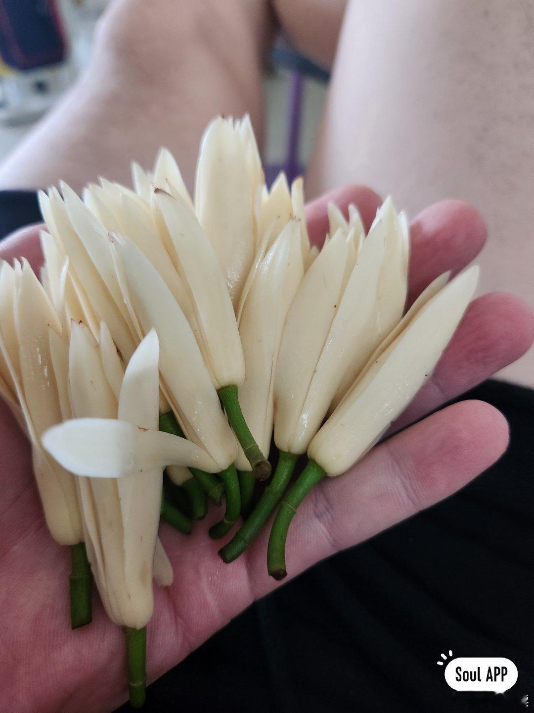 喜欢一个人时，用尽了全世界的句子，都词不达意。离开一个人时，找遍了万种理由，都言