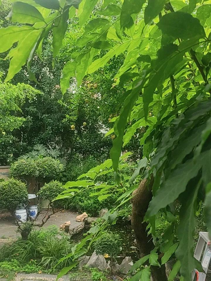 夏日生活打卡季