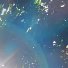 阳光信用 脚下有路，心中有光。 