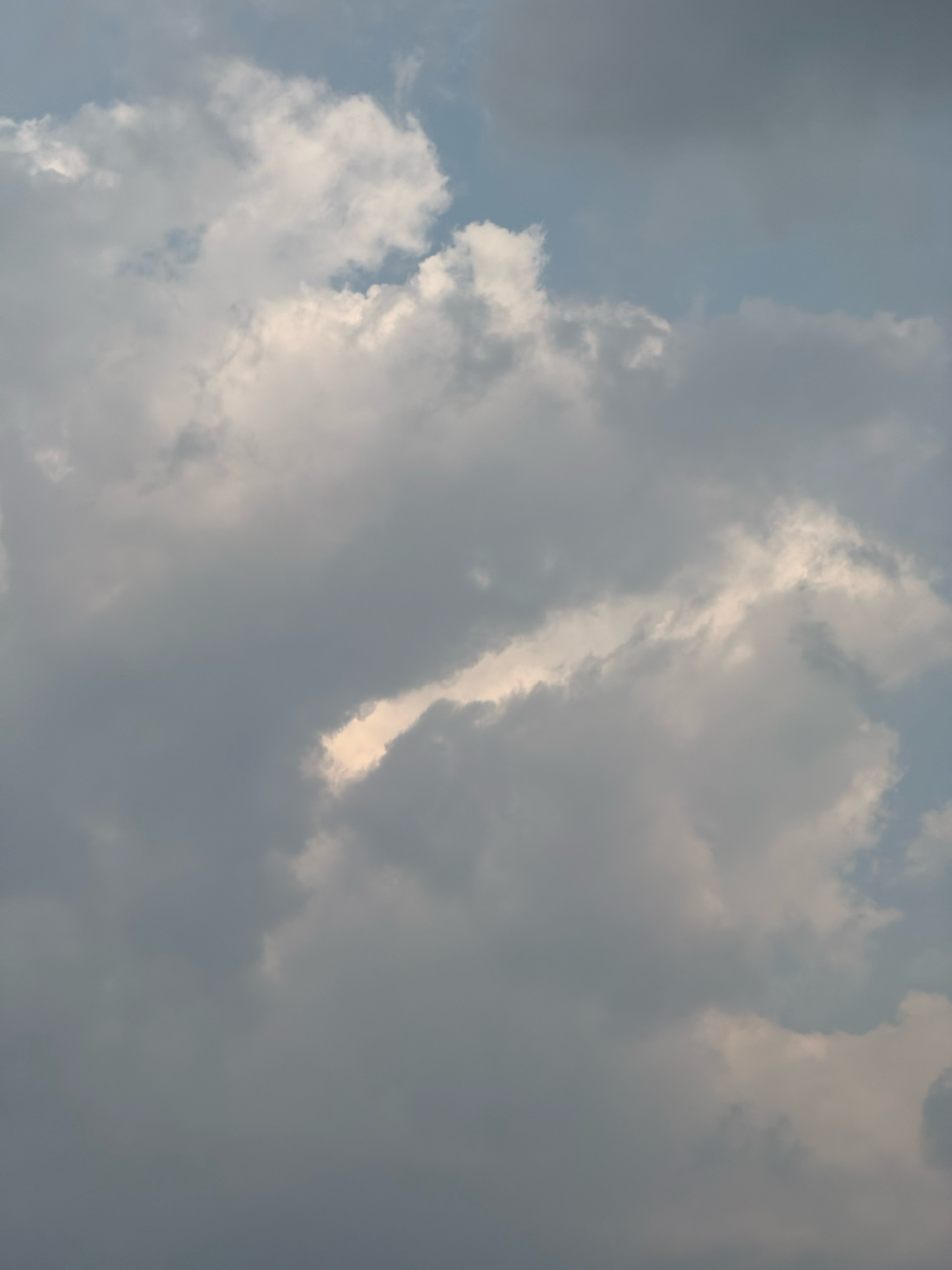 今天放空好好爱自己 