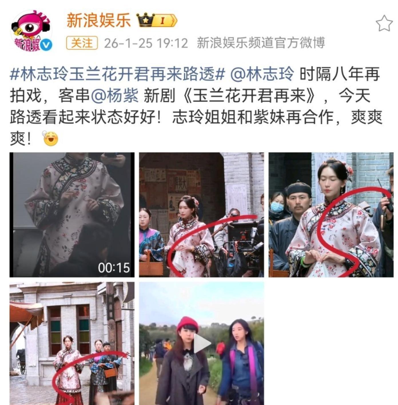 《玉兰花开君再来》中林志玲是客串，还是有重要戏份？ 