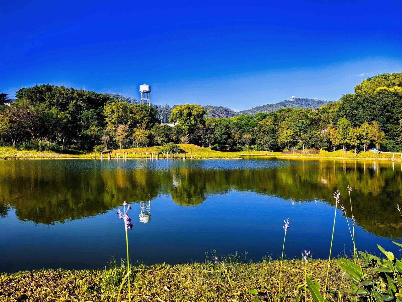 深圳的住宅小区二十几年前就普遍实行一层架空作为公共休闲和绿化空间，而上海直到最近