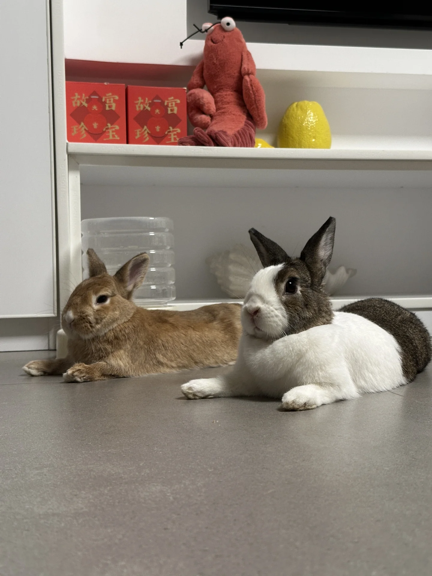 老母亲我度假回来了