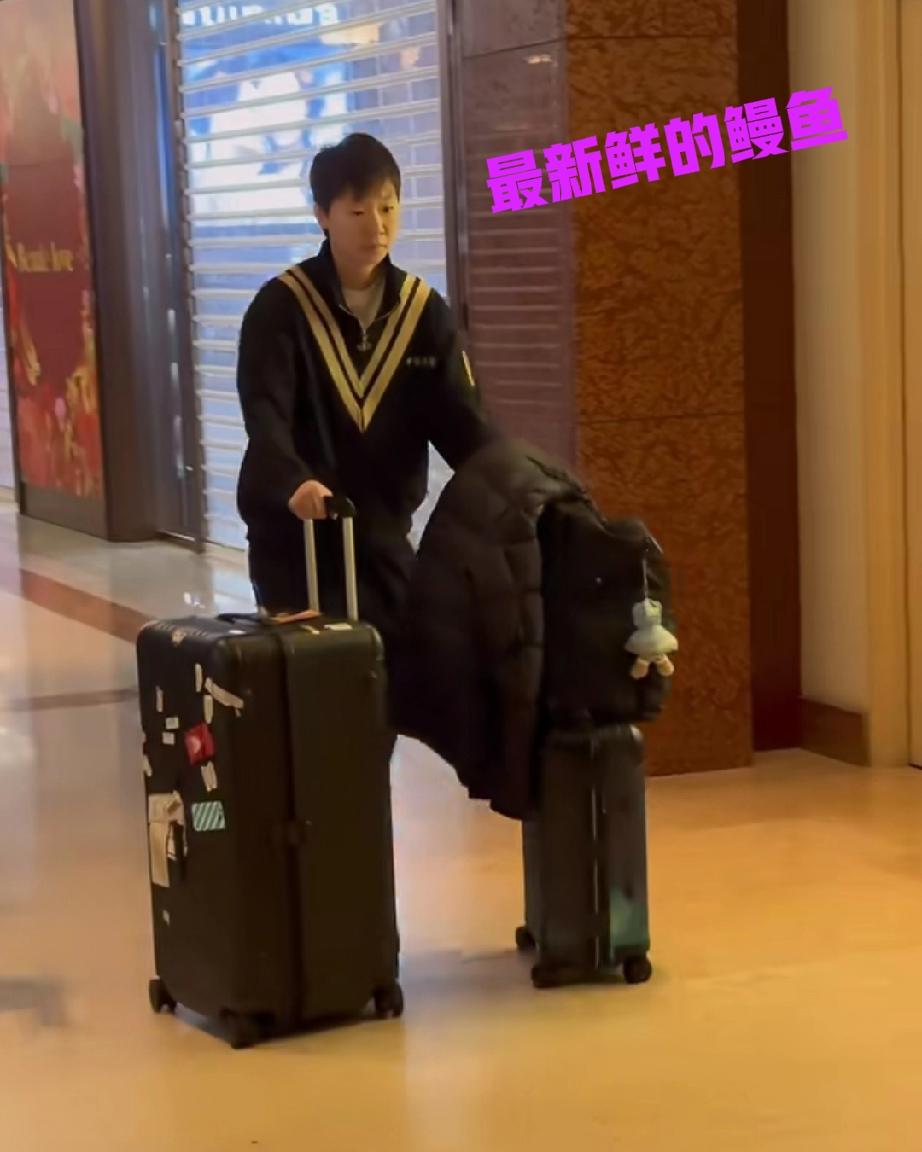 王曼昱出发回北京了！

一大早鳗鱼就从新加坡出发回北京了，网友直呼，好早啊！看着