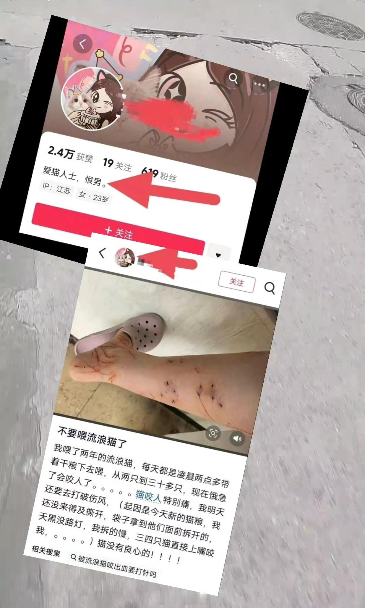 为什么要素这么齐全？因为背后有这统一的指挥棒。