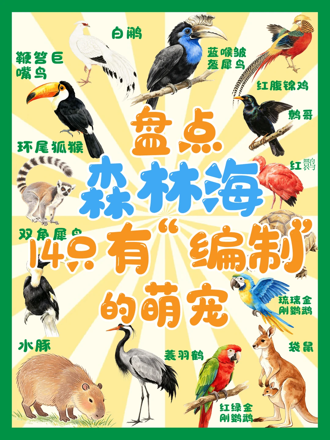 在森林海！亲手拍下14张国字号动物身份证
