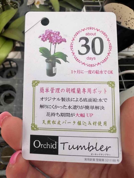 养护手册—新手宝宝不要怕