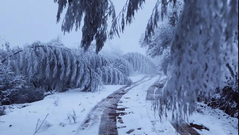 寒了的心,如何能捂热? 寒了的心，想捂热可不容易。从心理层面，多听抒情歌曲能让心