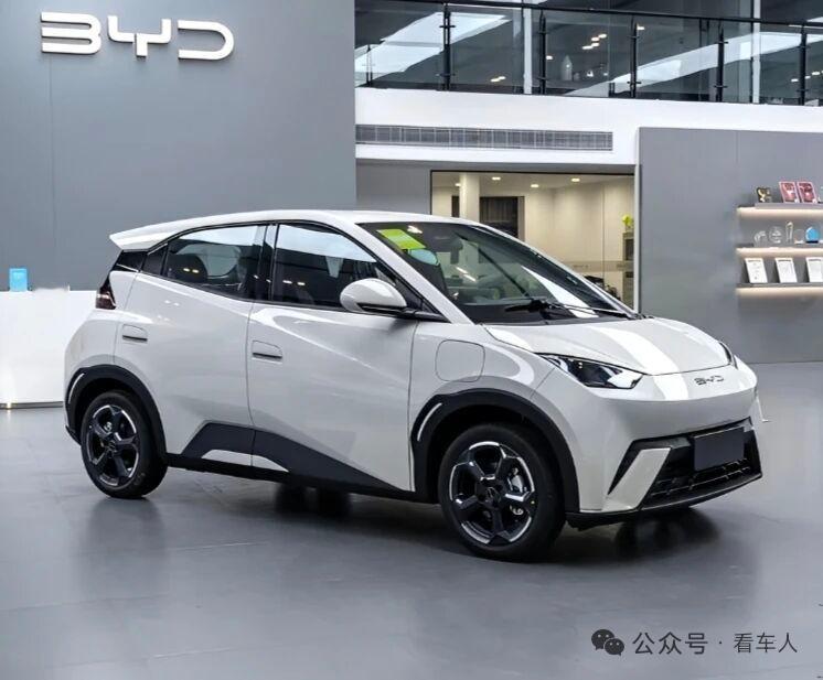 面对吉利星愿、极狐T1、名爵MG4这些对手，比亚迪海鸥还有未来吗？

比亚迪海鸥