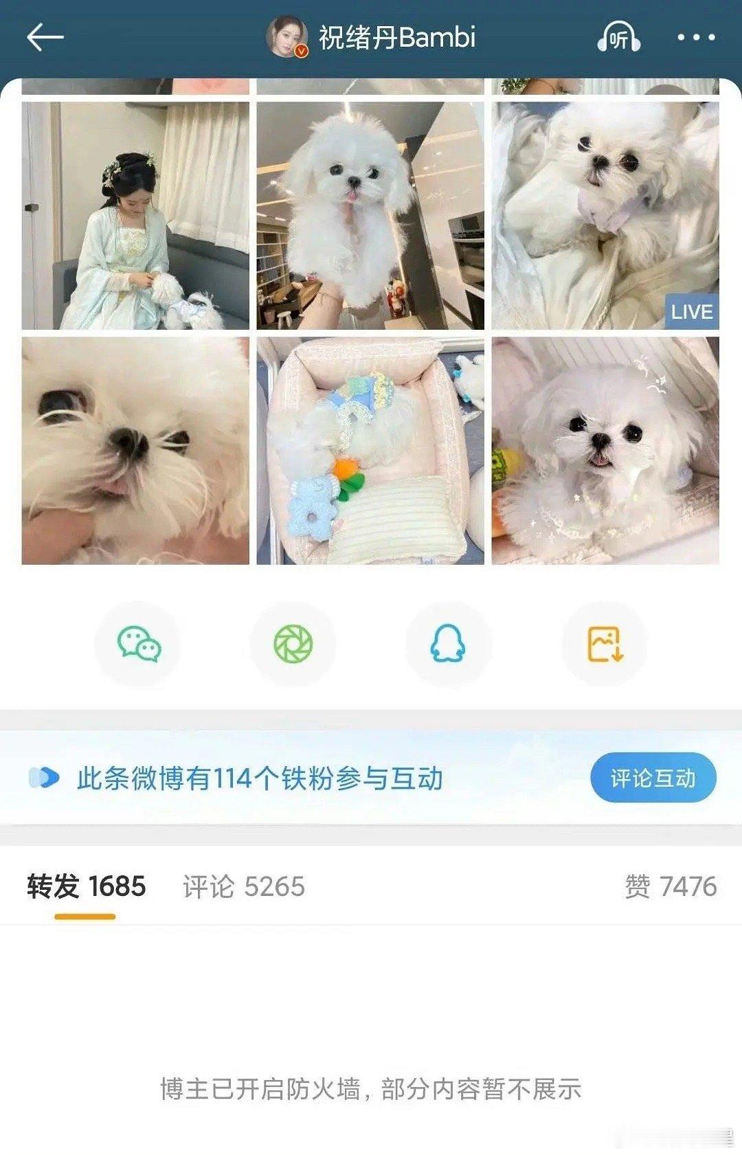 爱丽丝做的孽终究会回旋镖到8身上 ​​​