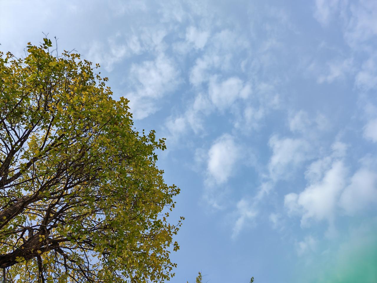 那天在公园的草地上铺了地垫，躺在上面晒太阳，身边是亲人的笑靥如花，还有一个一岁的