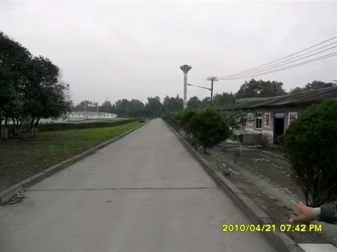 冬日生活打卡季这条路上留下了多少人青春的足迹