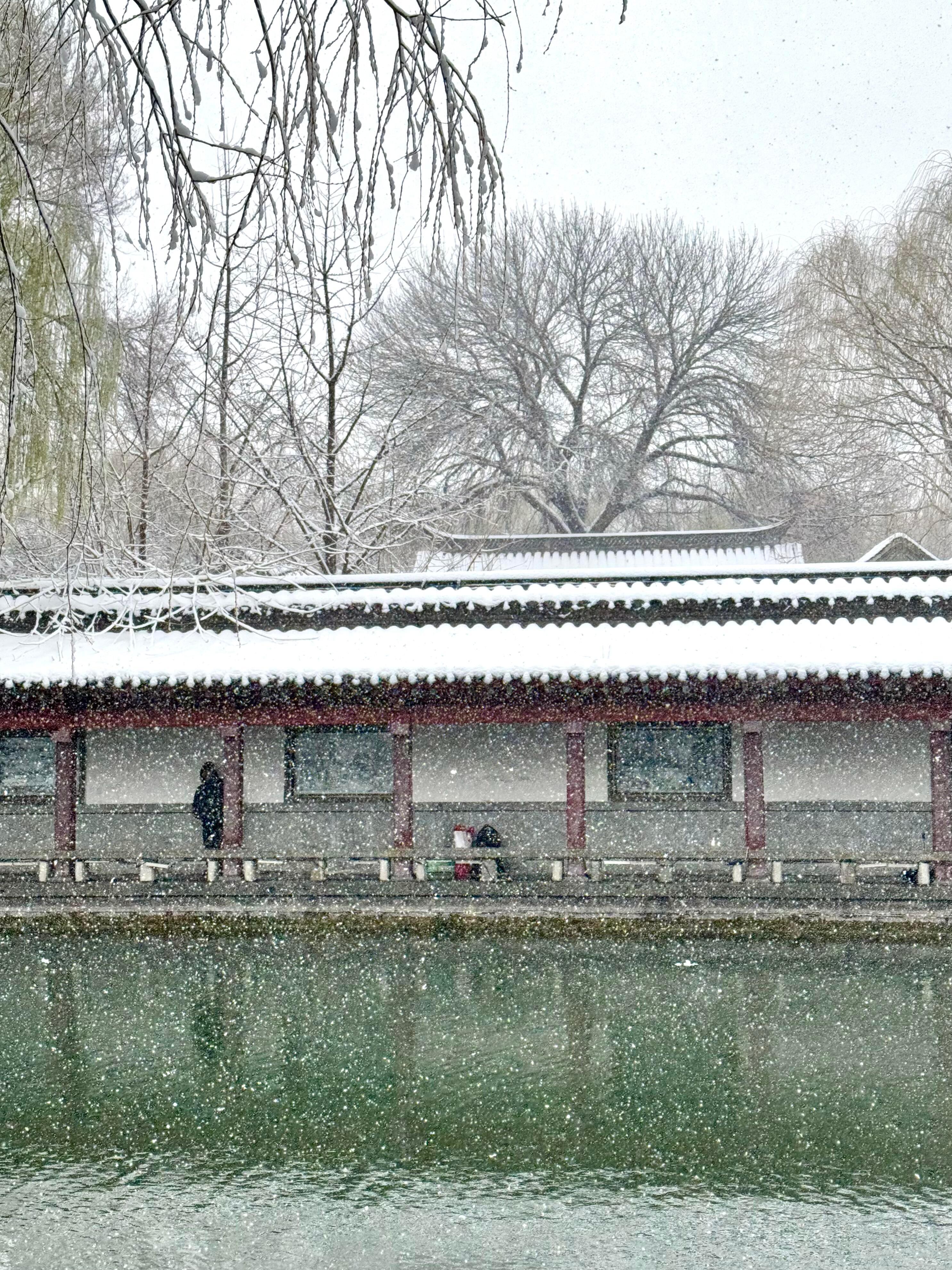 济南降温！！！冬天真的杀疯了！！！！！ 