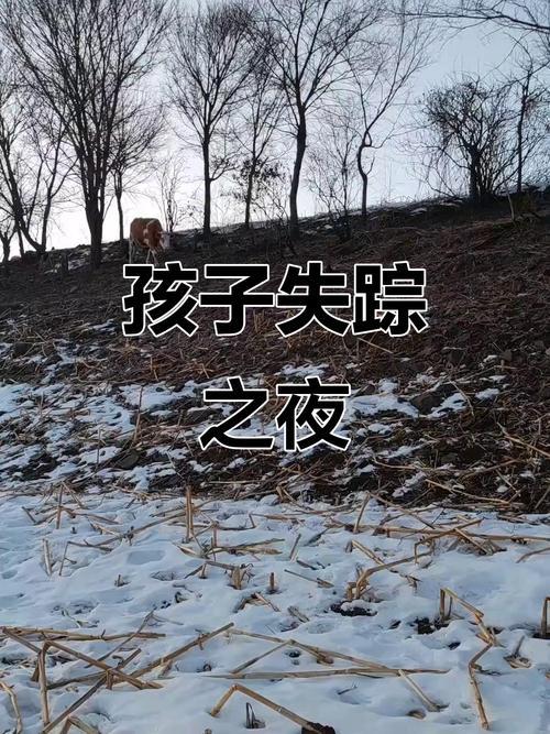 村民称4岁走失女童在沟里找到，4岁女童走失被找回救援民众发声：距失踪地很远，当地