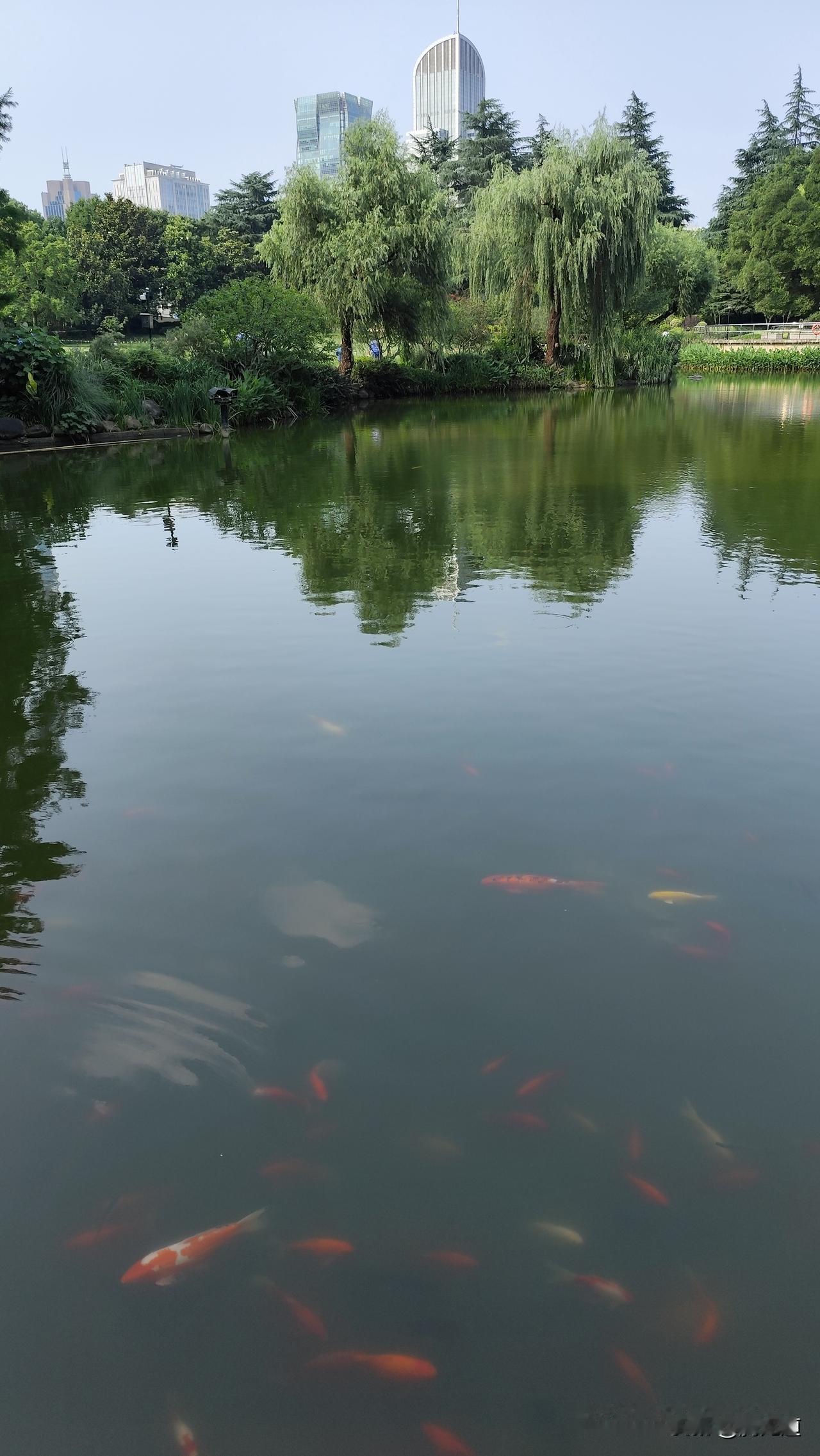 随手拍一张你所在城市的蓝天景色蓝色天空水中游