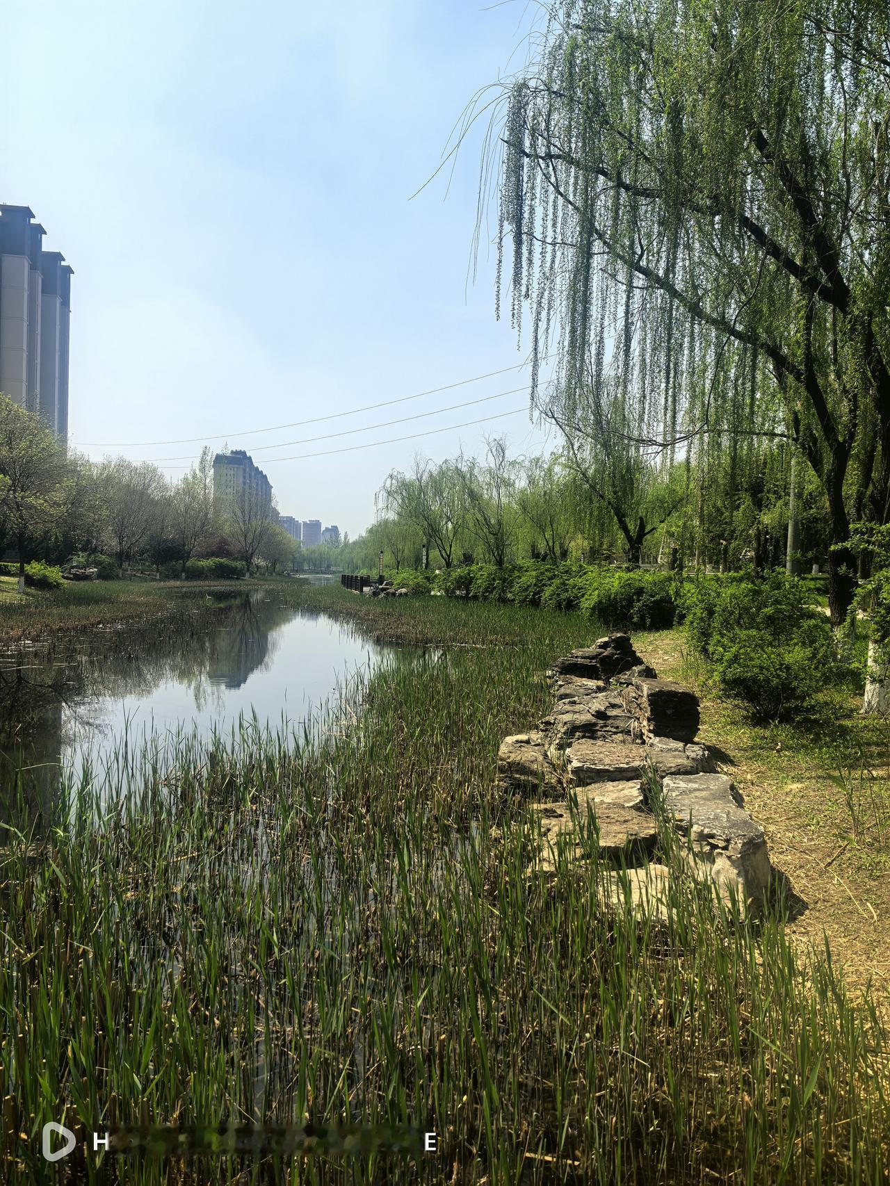 退休后第一个月的生活补贴和统筹外补贴到账了，基本养老金下个月一并补发，职业年金还