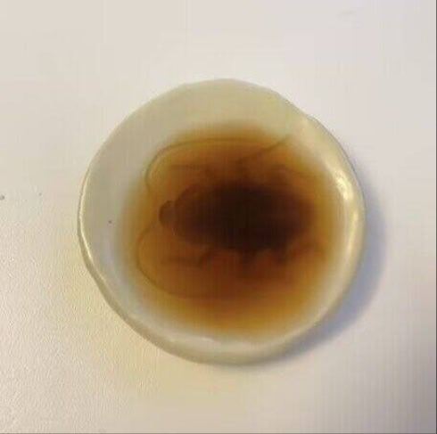 加入酱油会出现蟑螂的酱油碟哈哈哈哈，好像还挺有意思的耶。推荐广东饭店标配