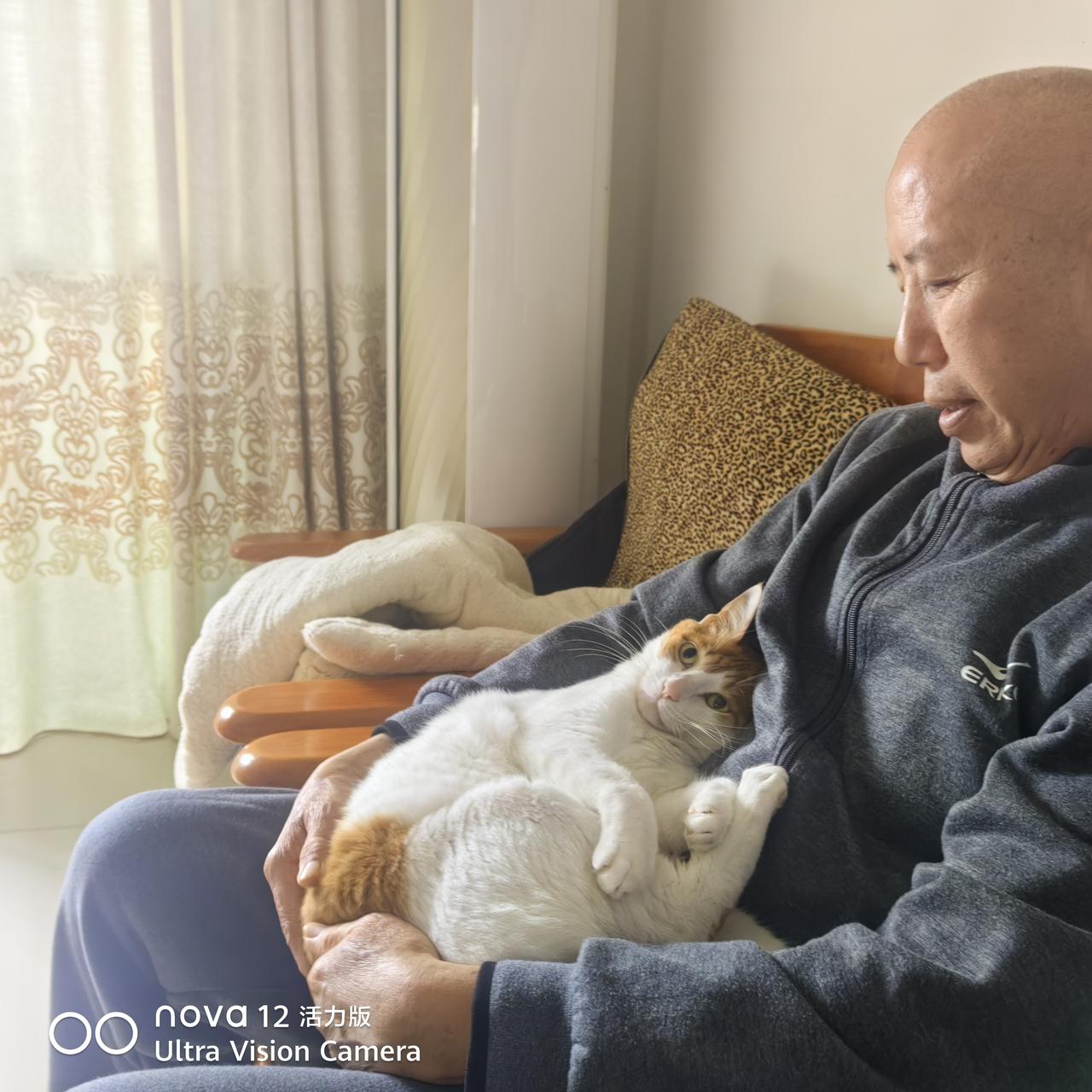 猫奴
孩子不听老人言，让家庭目前缺少第三代，养一只猫也是治愈的办法。