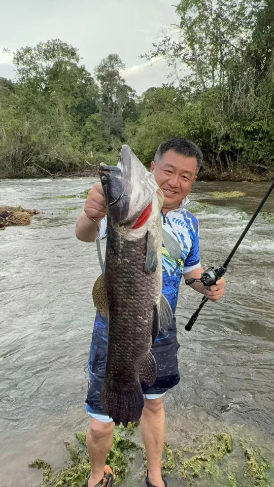 在河里钓鱼是一件很治愈的事儿🎣