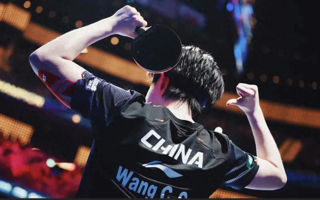 王楚钦夺冠，外媒与网民反应强烈尤其是日本和巴西，但中外有不同





国内对于