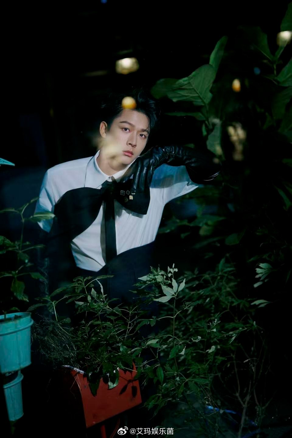 张晚意超大号领结原来男生带蝴蝶结也可以很个性，张晚意超大号领结一戴，衬的他脸巴掌