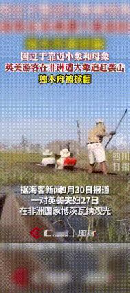 “惹不起”。近日，两对英美夫妇去非洲国家博茨瓦纳旅游观光，不幸遭到了公象有袭击，