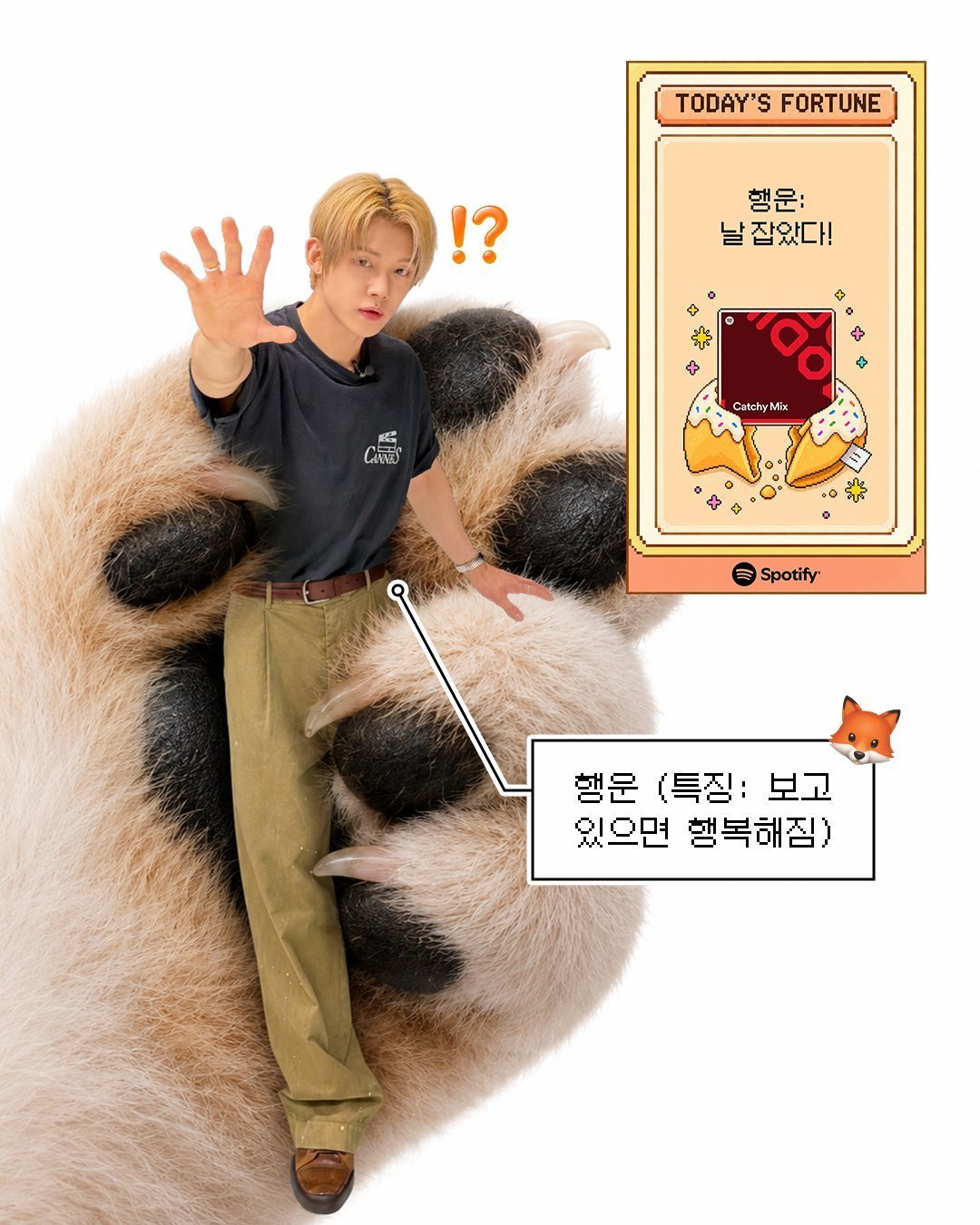 小笨猪