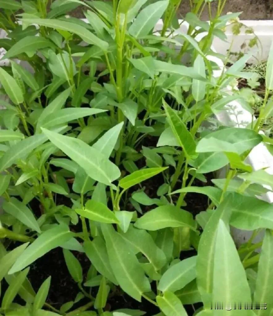 昨天跟姐姐聊天，聊完天觉得心里更难过了。

姐姐一家在广东佛山做生意，开了10年