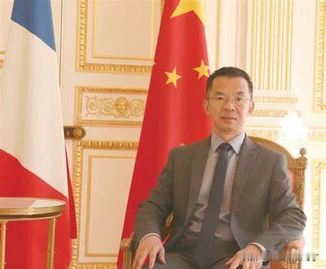 中国驻法大使称很荣幸得到“战狼”称号
中国驻法国大使卢沙野称，“战狼”在中国是个