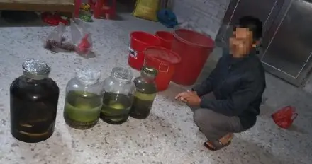 广东一男子泡鹰蛇酒被刑拘