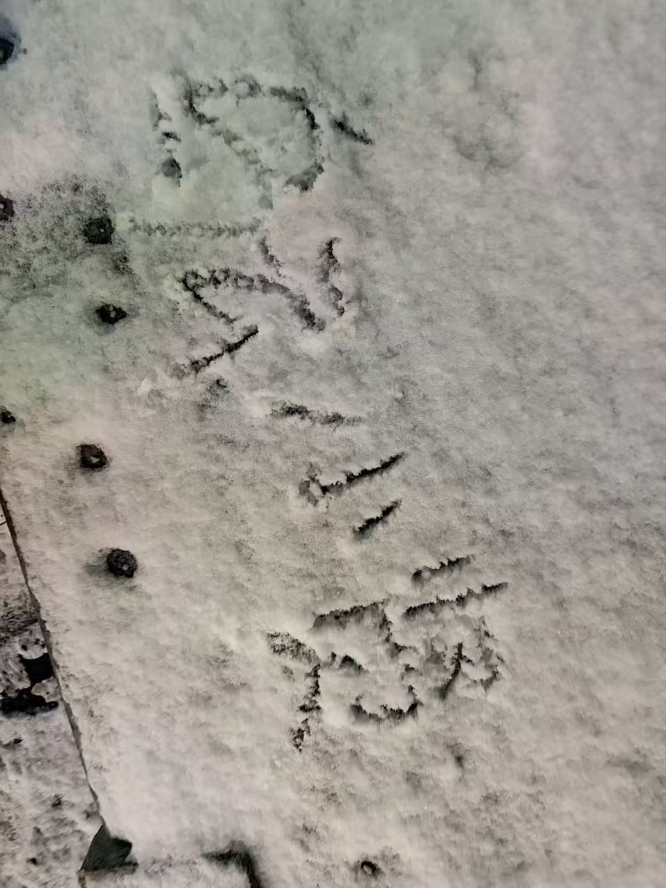 江苏没下的暴雪我在山东看了