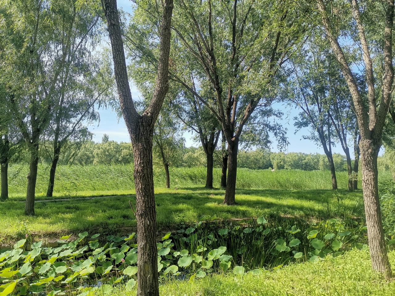 黄帝内经之养生秘籍（一）
    人值青壮年时，往往囿于人间琐事，身不由己，弄得