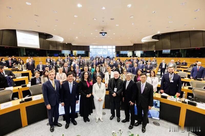 萧美琴在欧洲议会演说，获得全场起立鼓掌。是萧美琴的英文演说真具感染力，说到他们的