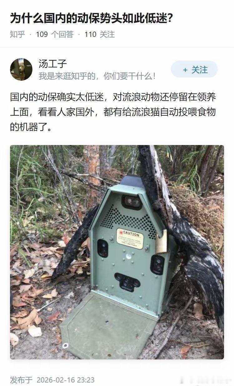 冷知识：国外“动保”——自动杀猫器等于尊重动物生命 