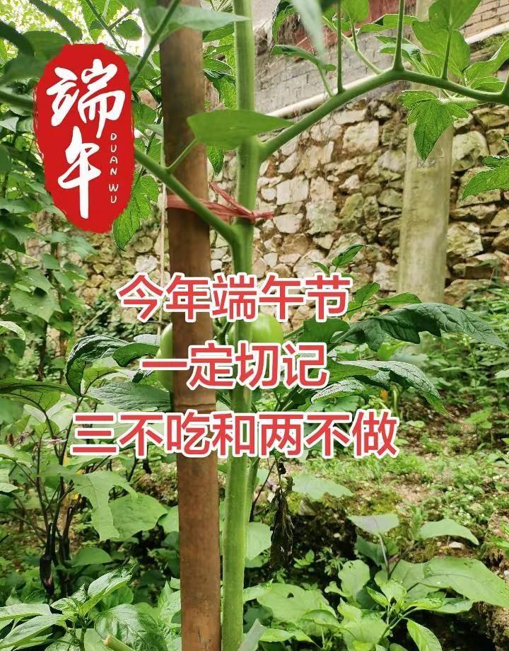 端午小提醒+台球赛的燃情时刻⚡。今天是端午节呀～给大家分享两个小讲究👇1️⃣ 