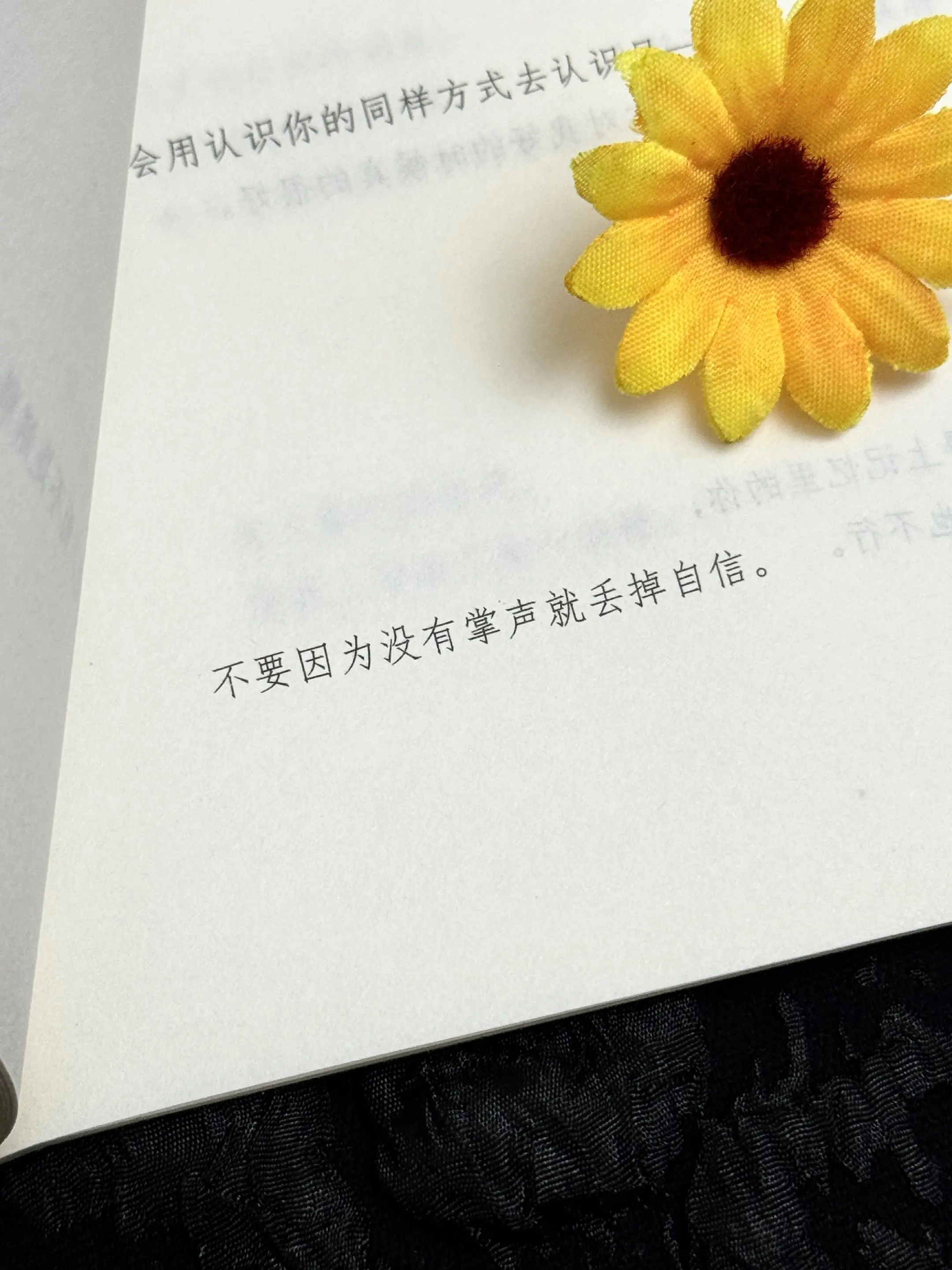 我一读再读却不得不承认青春是本太仓促的书
