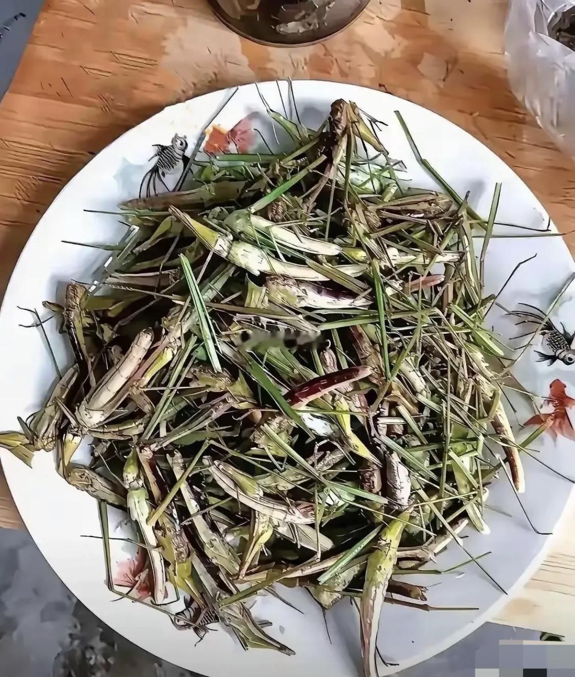 这是啥食物？不知道可不可以吃，有没有认识的？