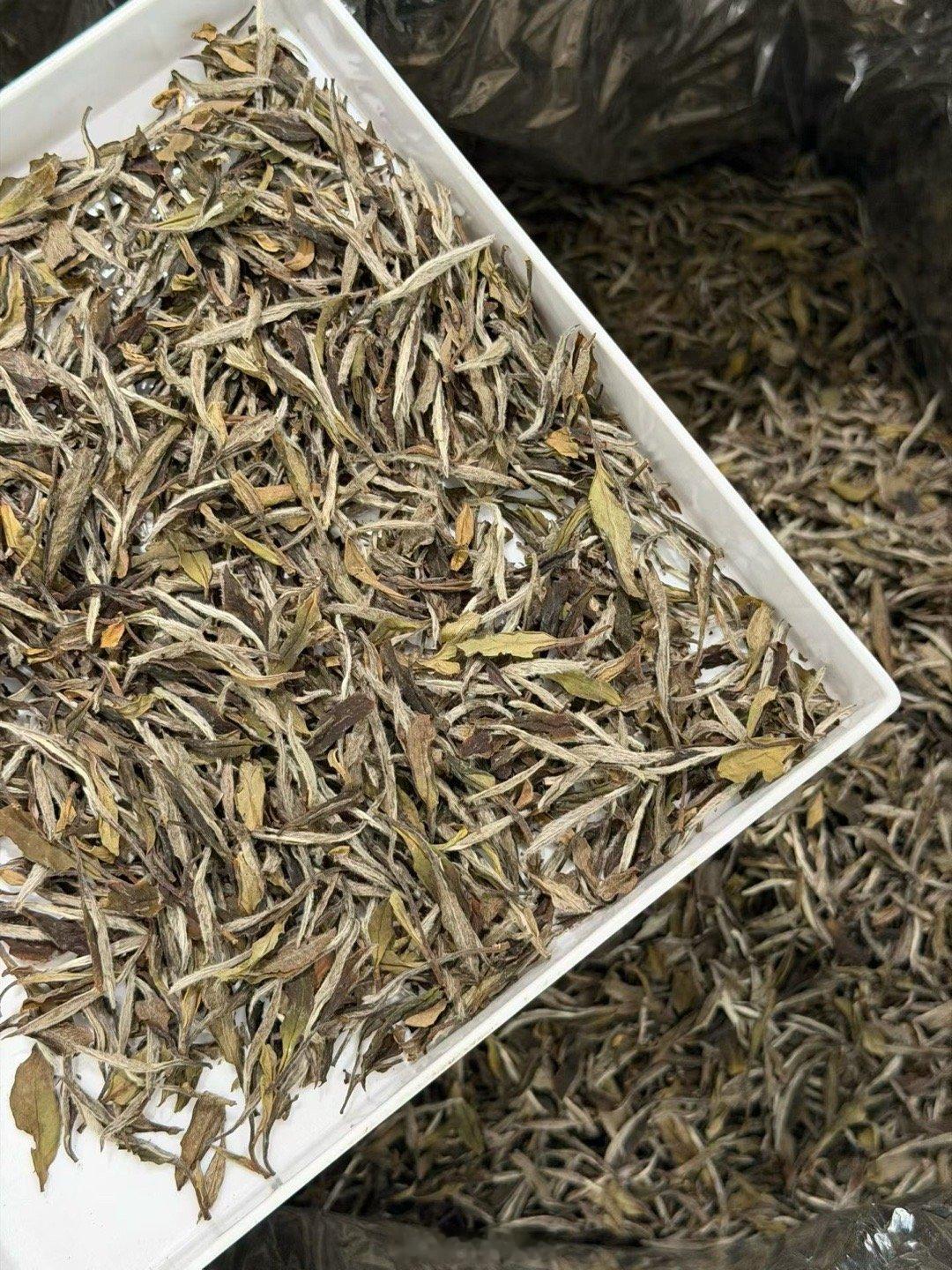 平静也是一种情绪， 就像沉默也是一种回答。 