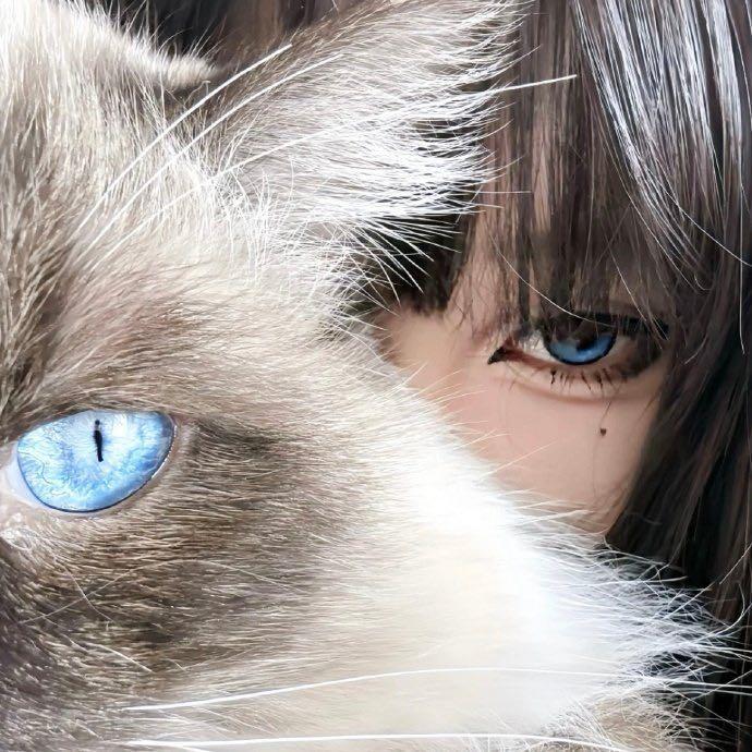 抱猫头像｜女生头像｜我说幸福就是你在我身边₍^_  ̫ _^₎ 