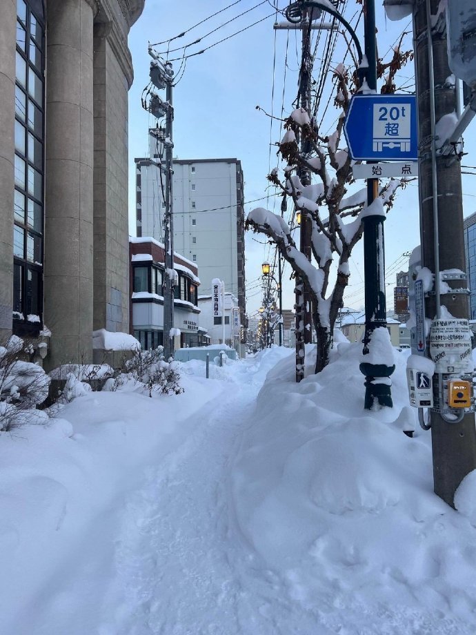 北海道的冬天❄️ 