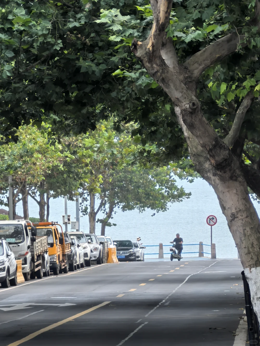 9.5青岛街头实况 阴天有雾木猴