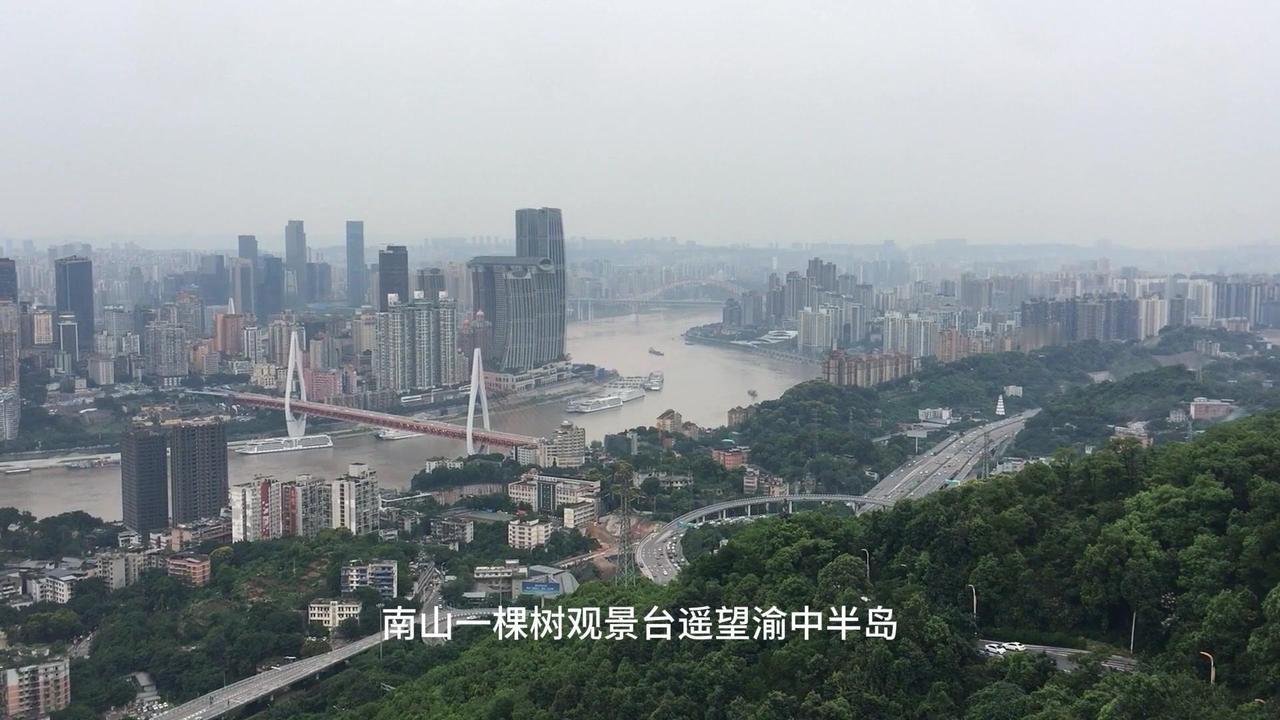 🌄南山一棵树观景台：心灵与视觉的双重升华

🌳简介：
南山一棵树观景台坐落于