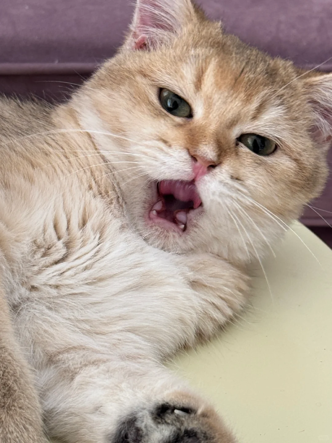 又是不想上班的一天😪